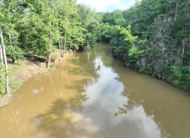 552 Twin Flower Ln, Slanesville, WV 25444