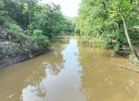 552 Twin Flower Ln, Slanesville, WV 25444