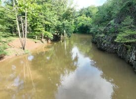 552 Twin Flower Ln, Slanesville, WV 25444
