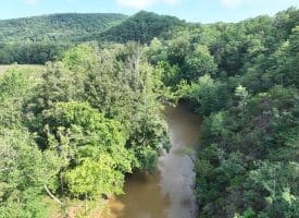 552 Twin Flower Ln, Slanesville, WV 25444