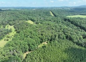 26.33 Acres Hickory Corner Rd, Augusta, WV 26704