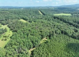 26.33 Acres Hickory Corner Rd, Augusta, WV 26704
