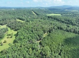 26.33 Acres Hickory Corner Rd, Augusta, WV 26704