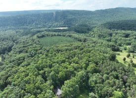 26.33 Acres Hickory Corner Rd, Augusta, WV 26704