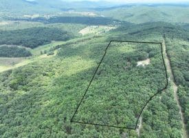395 Oak Park Rd, Burlington, WV 26710