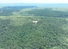 395 Oak Park Rd, Burlington, WV 26710