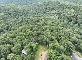 9.31 Ac Pine Tree Dr, Bloomery, WV 26817