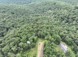 9.31 Ac Pine Tree Dr, Bloomery, WV 26817