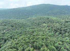 9.31 Ac Pine Tree Dr, Bloomery, WV 26817
