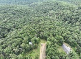 9.31 Ac Pine Tree Dr, Bloomery, WV 26817