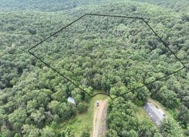9.31 Ac Pine Tree Dr, Bloomery, WV 26817