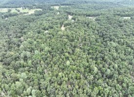 9.31 Ac Pine Tree Dr, Bloomery, WV 26817