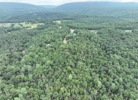 9.31 Ac Pine Tree Dr, Bloomery, WV 26817