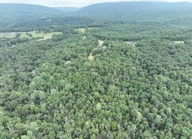 9.31 Ac Pine Tree Dr, Bloomery, WV 26817