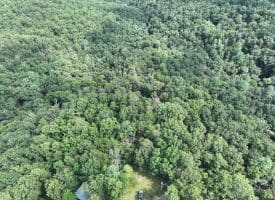 9.31 Ac Pine Tree Dr, Bloomery, WV 26817