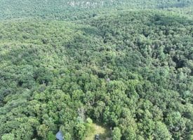 9.31 Ac Pine Tree Dr, Bloomery, WV 26817