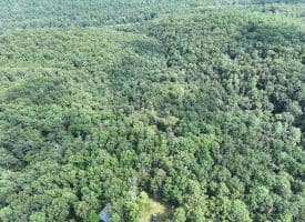 9.31 Ac Pine Tree Dr, Bloomery, WV 26817
