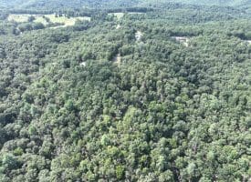 9.31 Ac Pine Tree Dr, Bloomery, WV 26817