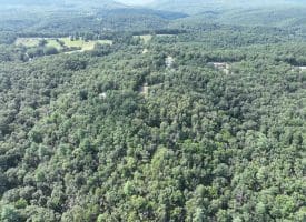 9.31 Ac Pine Tree Dr, Bloomery, WV 26817