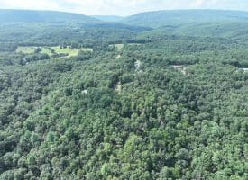 9.31 Ac Pine Tree Dr, Bloomery, WV 26817