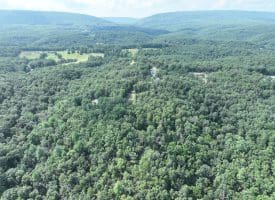 9.31 Ac Pine Tree Dr, Bloomery, WV 26817