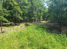 6 Beaver Run Rd, Burlington, WV 26710