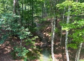 6 Beaver Run Rd, Burlington, WV 26710
