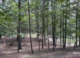20.32 Ac Trough Rd, Moorefield, WV 26836