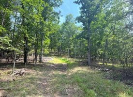 6 Beaver Run Rd, Burlington, WV 26710