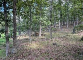 20.32 Ac Trough Rd, Moorefield, WV 26836