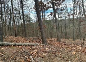 6 Beaver Run Rd, Burlington, WV 26710