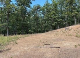 20.32 Ac Trough Rd, Moorefield, WV 26836