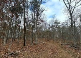 6 Beaver Run Rd, Burlington, WV 26710