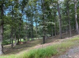 20.32 Ac Trough Rd, Moorefield, WV 26836