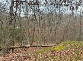 6 Beaver Run Rd, Burlington, WV 26710