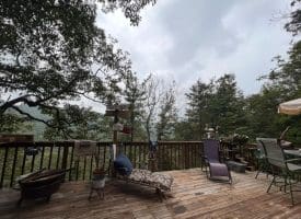 444 Nugget Dr, Capon Bridge, WV 26711