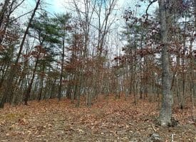 6 Beaver Run Rd, Burlington, WV 26710
