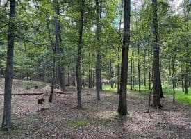 20.32 Ac Trough Rd, Moorefield, WV 26836