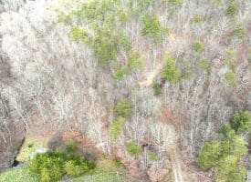 6 Beaver Run Rd, Burlington, WV 26710