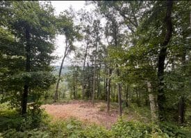 444 Nugget Dr, Capon Bridge, WV 26711