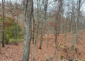 6 Beaver Run Rd, Burlington, WV 26710