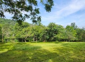 2445 Bear Wallow Hollow Rd, Augusta, WV 26704