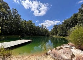 444 Nugget Dr, Capon Bridge, WV 26711