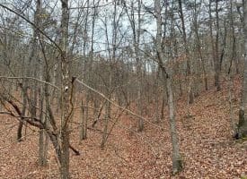 6 Beaver Run Rd, Burlington, WV 26710