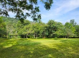2445 Bear Wallow Hollow Rd, Augusta, WV 26704