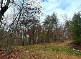 6 Beaver Run Rd, Burlington, WV 26710