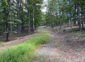 20.32 Ac Trough Rd, Moorefield, WV 26836