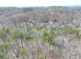 6 Beaver Run Rd, Burlington, WV 26710
