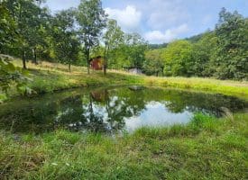 2445 Bear Wallow Hollow Rd, Augusta, WV 26704
