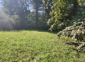 Lot 79 Mystic Mountain Blvd, Delray, WV